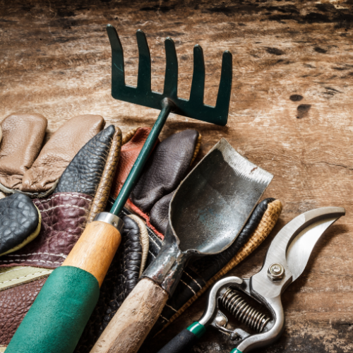 הכל לגינה ולמרפסת