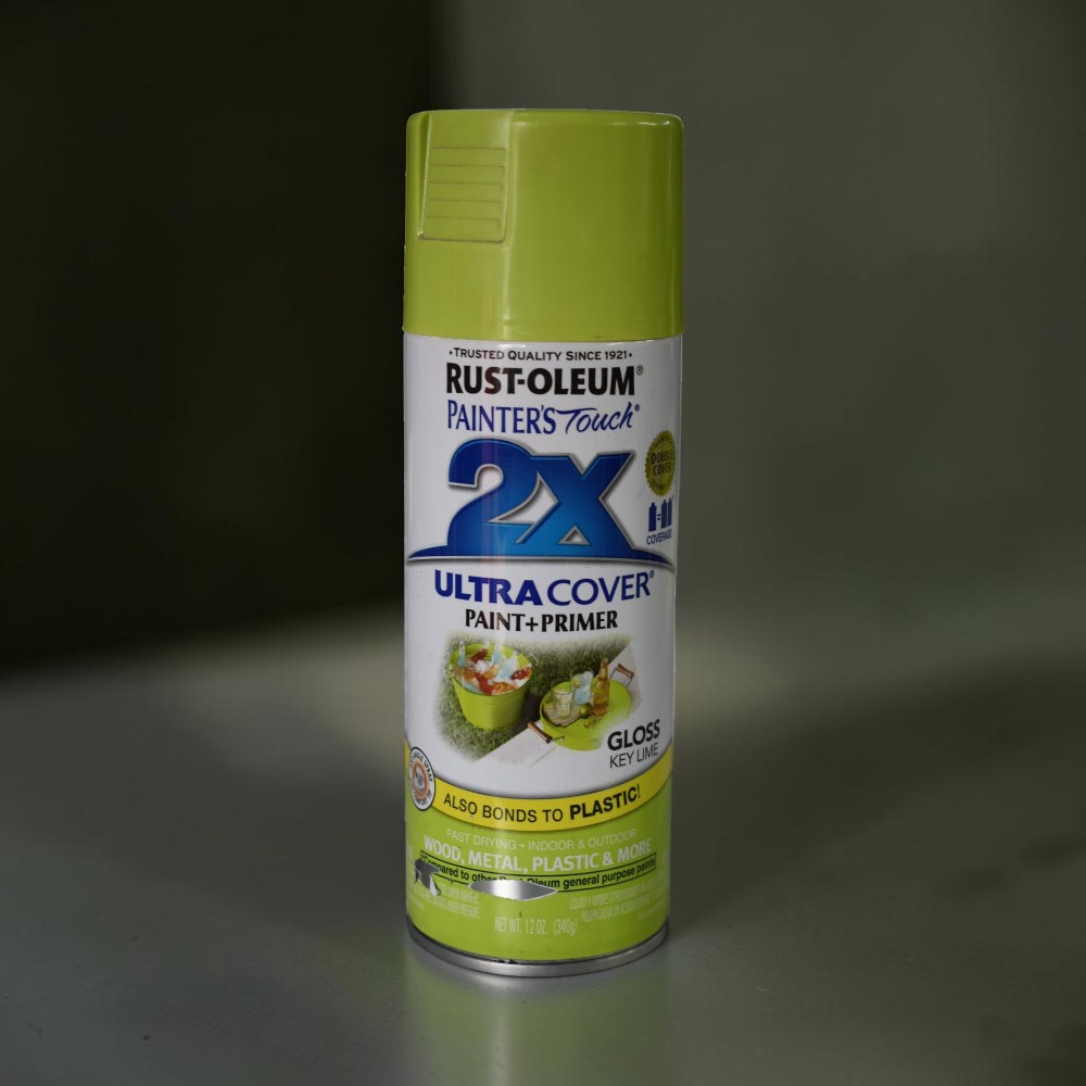 Rust-Oleum 2x - ספריי – תמונה 13